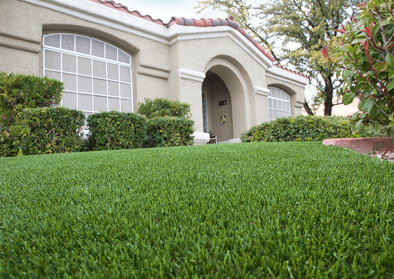 image of front yard