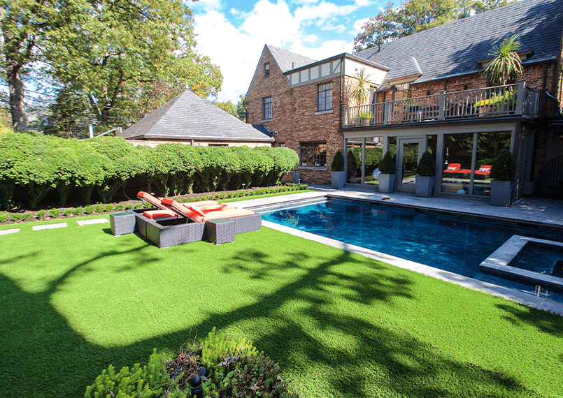 image of backyard