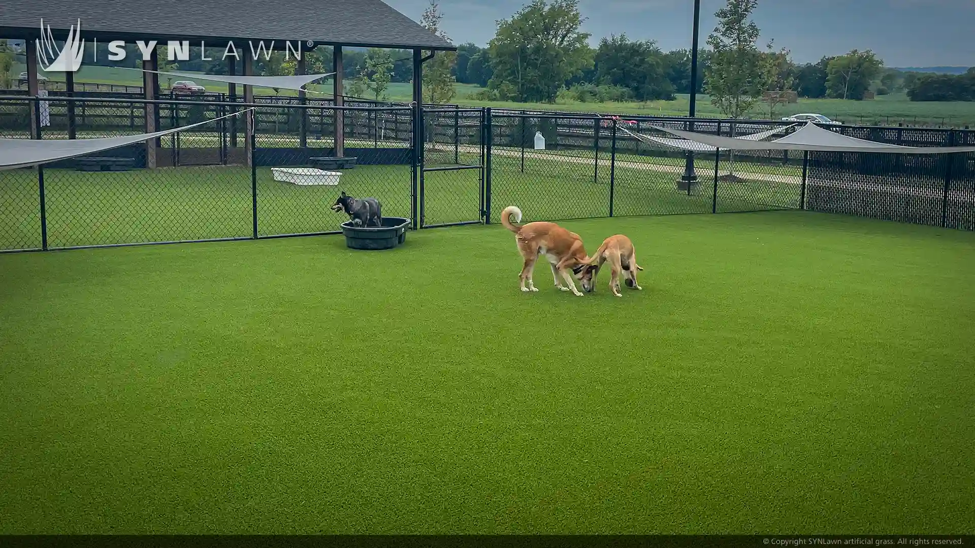 SYNLawn artificial grass for pets at Williamson County animal center in Franklin Tennessee image of SYNLawn artificial grass for pets at Williamson County animal center in Franklin Tennessee