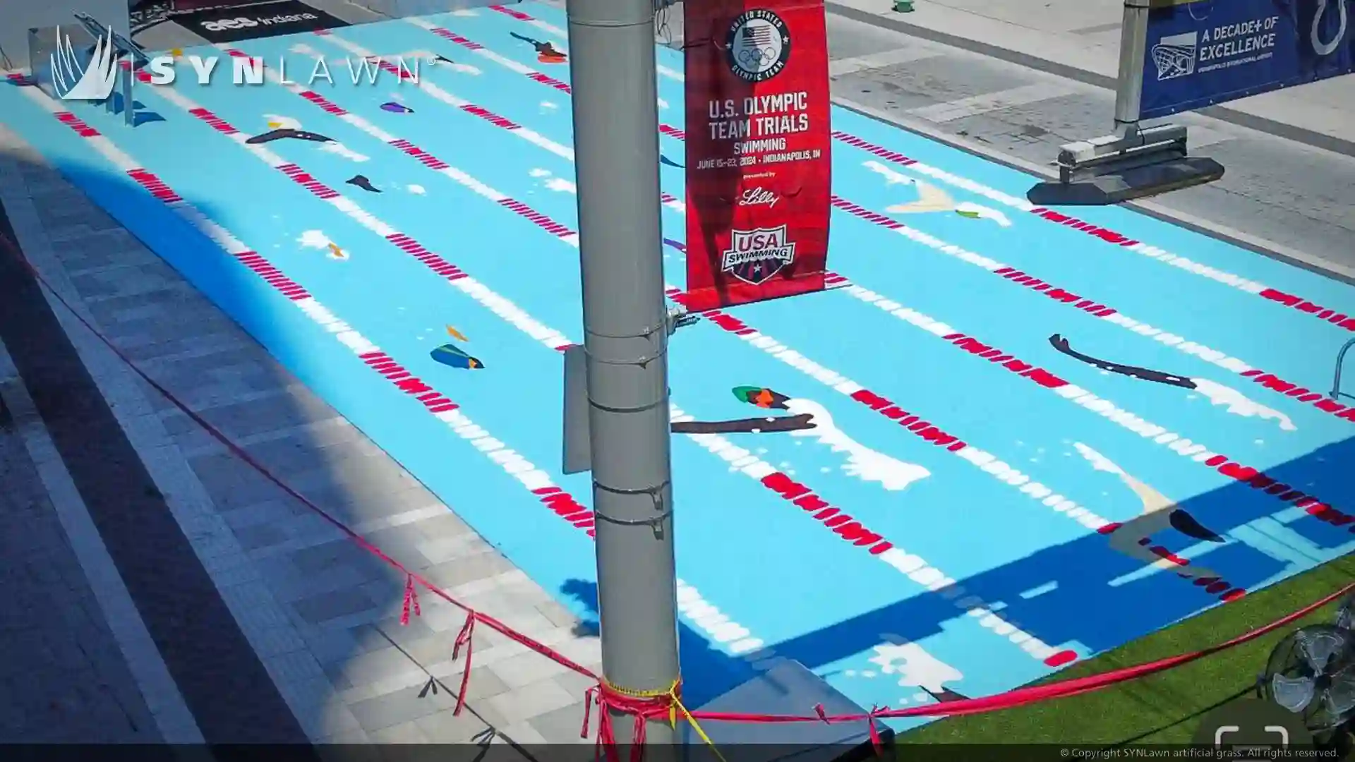 Pre-assembled Custom Design Turf in Multiple Colors at the Olympic Swimming Trials Indianapolis Indiana image of pre assembled custom design turf in multiple colors at the Olympic swimming trials Indianapolis Indiana