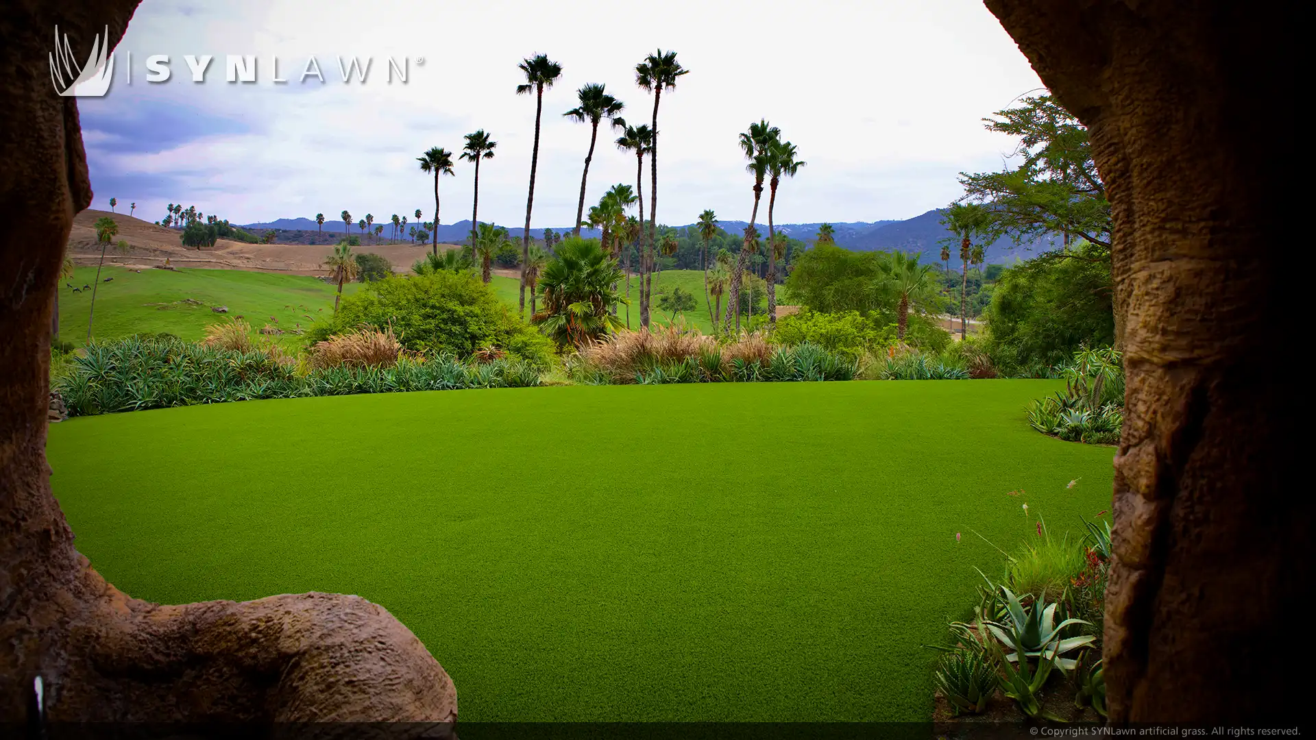SYNLawn artificial grass at the Kijamii overlook watering hole restaurant at the San Diego Zoo image of the watering hole at Kijamii overlook San Diego Zoo restaurant