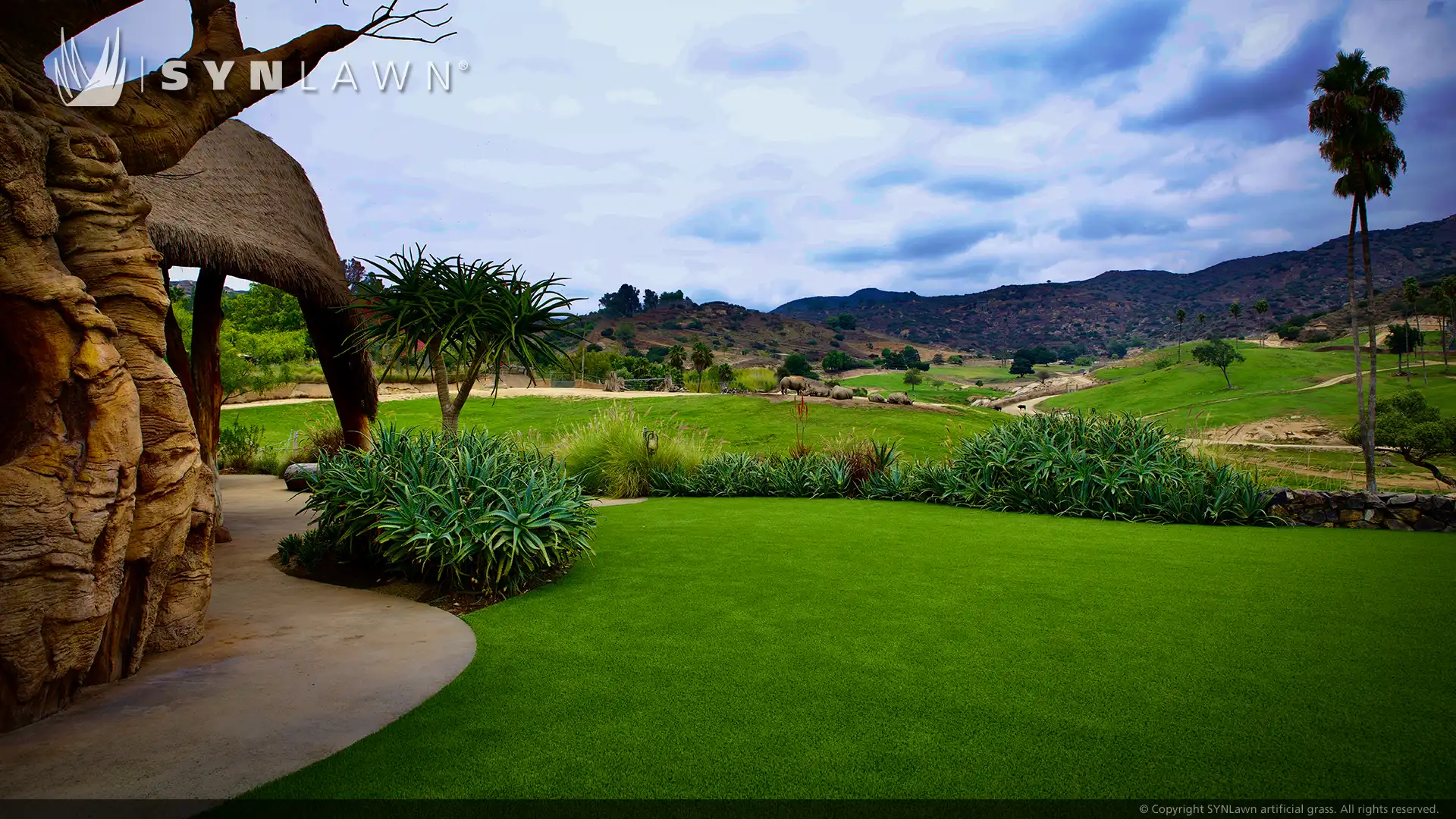 SYNLawn artificial grass at the Kijamii overlook watering hole restaurant at the San Diego Zoo image of the watering hole at Kijamii overlook San Diego Zoo restaurant